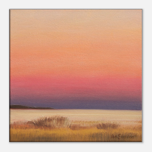 b0972a63-f500-4e84-aa23-24228c0574dc